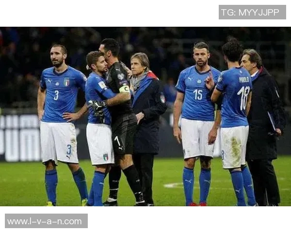 聚焦Nelson足球球星成长历程与赛场辉煌瞬间全面解析